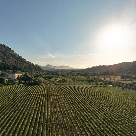 Son Brull Hotel & Spa - Relais & Chateaux-3